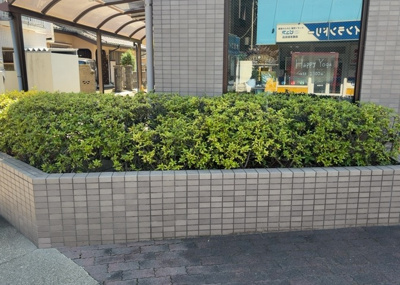 【庭】 | レサージュ南橋本弐番館 | 物件によっては、入居者が個人的に使用できる専用庭がついているものもあります。また、住宅の中にある土間の部分を庭と呼ぶこともあります。庭の用途は住む人によって変わり、それによってデザインもさまざまです。