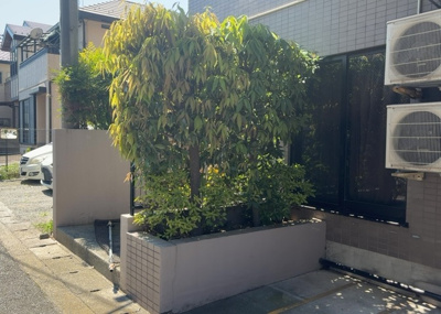 【中庭】 | レサージュ南橋本弐番館 | 中庭（パティオ）とは、一つの建築物の内部に設けられた、壁などで囲われている庭のことを指します。コの字型、ロの字型が主流ですが、L字型の中庭もあります。最近では、インテリア性の高さからも人気があります。
