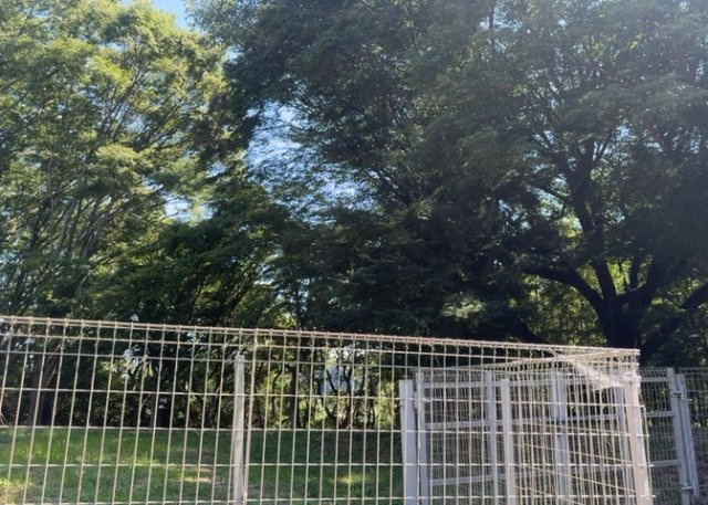 【展望】 | 眺望を気にして物件を探す場合、前面に建物が建っていないか現地で確認しましょう！前面に建物があると景色はもちろん、日当たりや風通しにも影響が出てきます。住んだ時のことを想像しながら現地見学をしましょう。