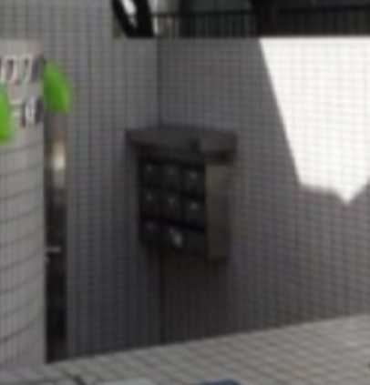 ロワイヤル三軒茶屋　礼金0　フローレント　ペット相談のその他共用部分