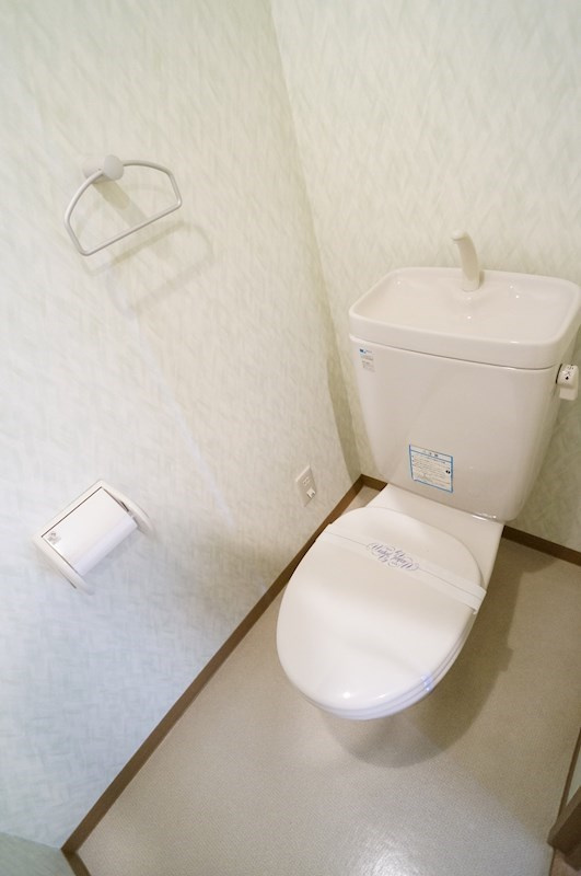 ヴェルドミールのトイレ