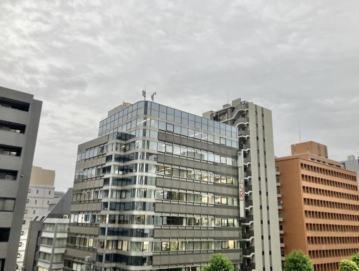 リガーレ日本橋人形町の展望