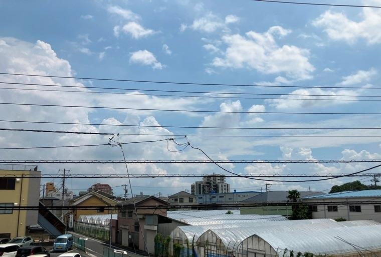 春江町戸建の展望