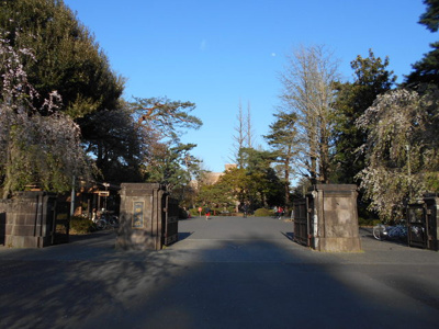 一橋大学まで950ｍ