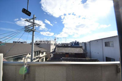 【展望】 | 春風　Ｓｐｒｉｎｇ　ｗｉｎｄ