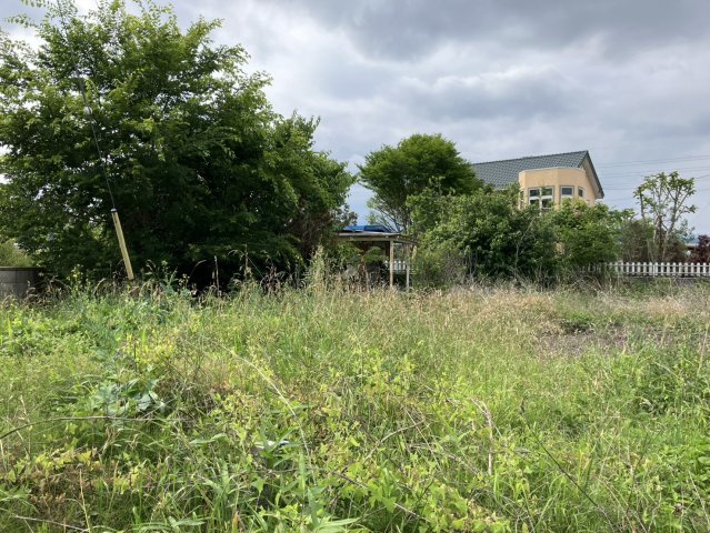 新里町野土地の外観