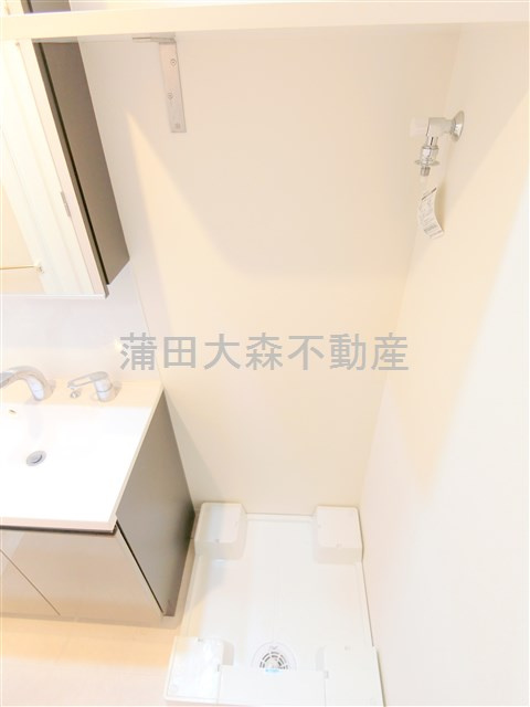 ドゥーエ蒲田南の洗面所