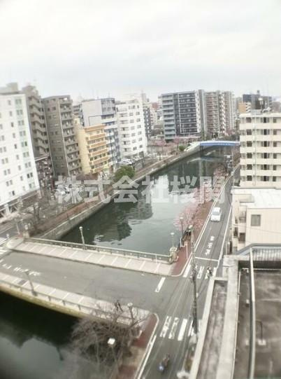 バイムフルス白金Ⅰの展望