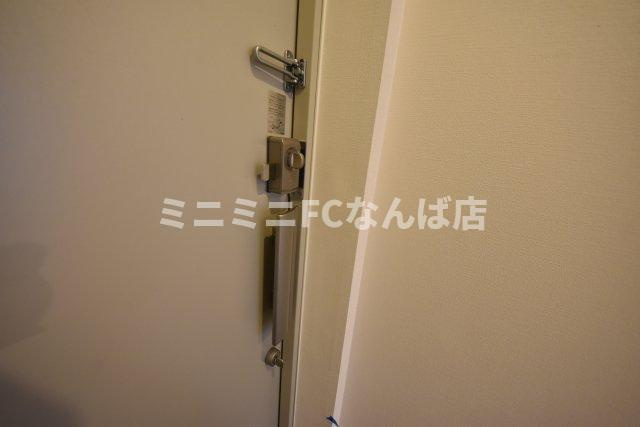 ジェイラピスナンバ