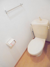 落ち着いた色調のトイレです