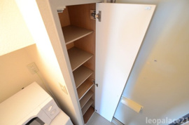落ち着いた玄関です