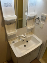 忙しい朝には欠かせない洗面所です