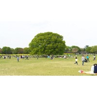 公園「国営昭和記念公園まで1143ｍ」