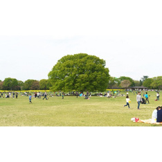 公園「国営昭和記念公園まで1143ｍ」