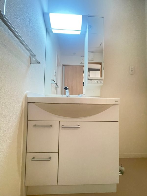 ブルーメゾンⅡの洗面所
