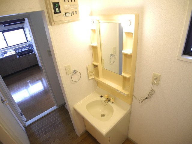 セジュール大和Cの洗面所