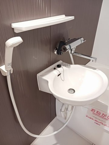 グランディール江木の洗面所