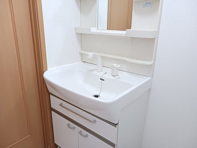 メゾンカルフールＢの洗面所