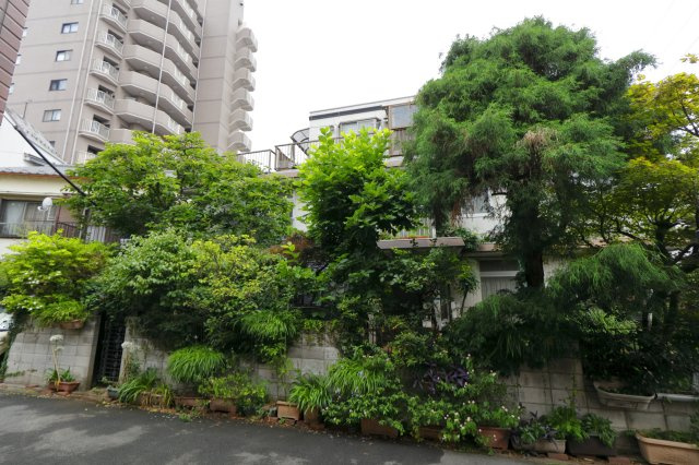 メゾン南小岩7の展望