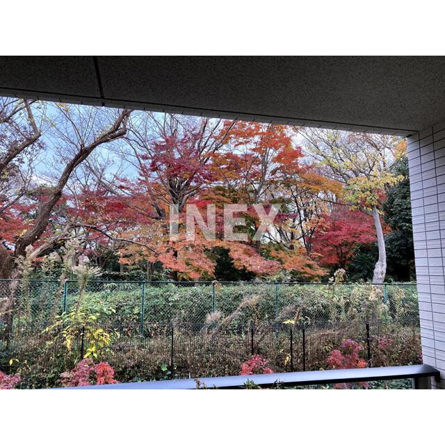 横浜市中区山元町５丁目の賃貸マンションの展望