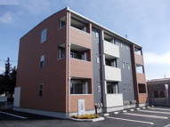 ＡＫＡＮＥの画像