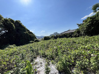 【周辺】 | 宝塚市小浜5丁目　用地