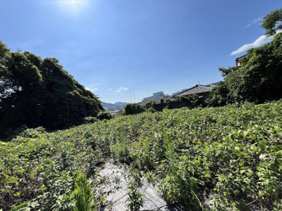 【周辺】 | 宝塚市小浜5丁目　用地