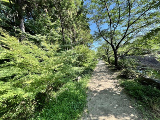 【周辺】 | 宝塚市小浜5丁目　用地