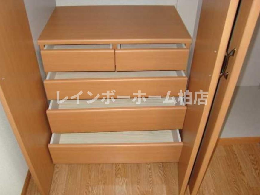 【仲介手数料：50％OFF】対象物件！の収納|ちょっとした収納スペースも充実しています