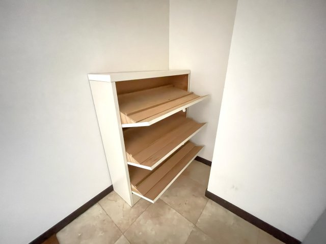 アクティブホソイAのその他