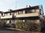 ラフィーネの画像
