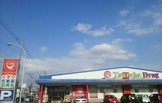 カーサ・ラッフィナートの周辺|ツルハドラッグ豊岡12条店まで900m