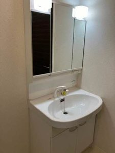 パークヒルズ陵南の洗面所