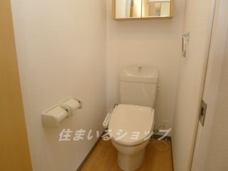 メゾン　フェリーチェのトイレ|シャワートイレ・収納棚あり