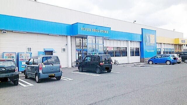 ファミーユの周辺|薬王堂江刺店まで600m