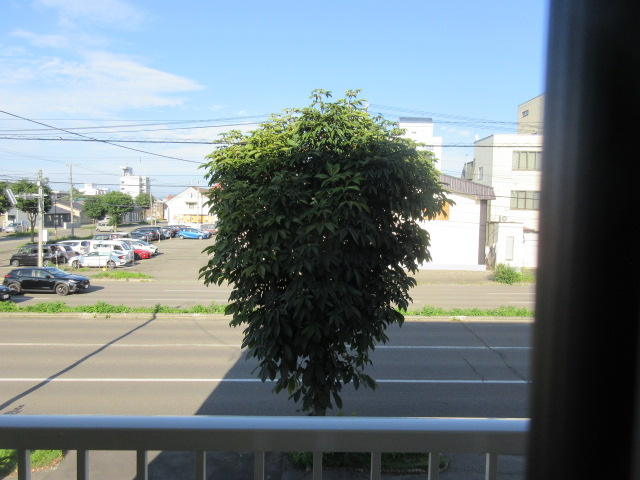iruneの展望