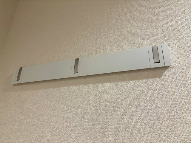 ジプソフィラのその他