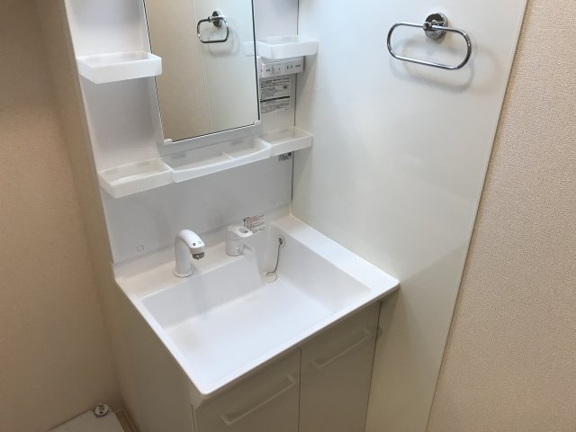 セレシェイラ弐番館の洗面所