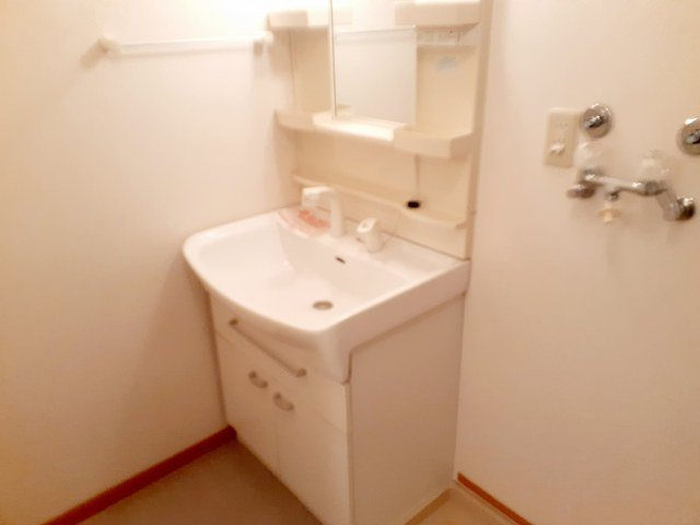ラウム　壱番館の洗面所