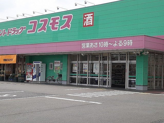 エクレールリブレの周辺|コスモス城南店まで1000m