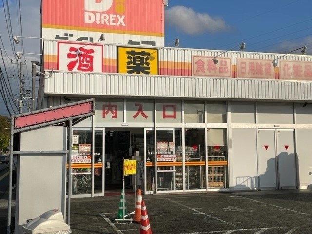 ミドルⅢの周辺|ダイレックス東野店まで500m