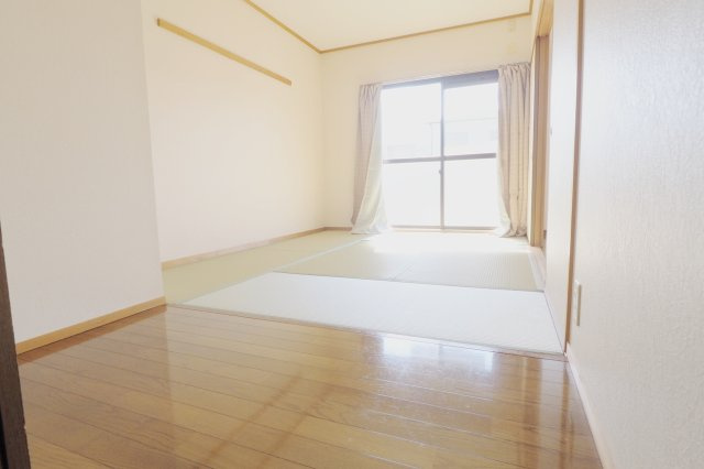フェリスクラモトのその他