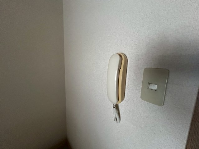 マルイハイビスカスの設備