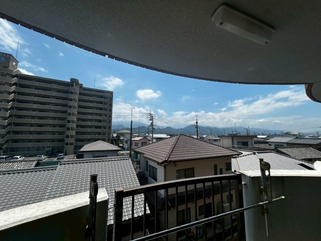 マルイハイビスカスの展望