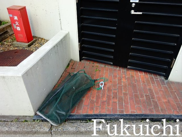 ルーニィ平町のその他共用部分