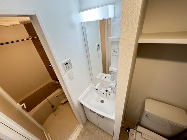 S-RESIDENCE松戸Iriseの洗面所