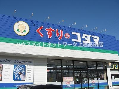 シャトーレ国府の周辺|その他