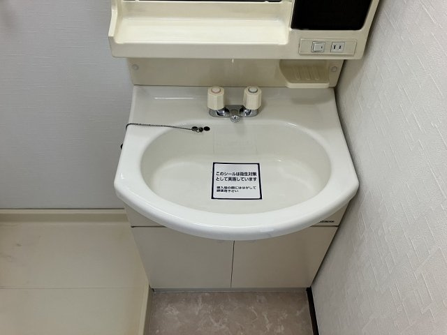 Tコート佳園の洗面所