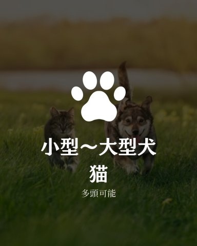 アウルステージアン・シオ博多駅南のその他