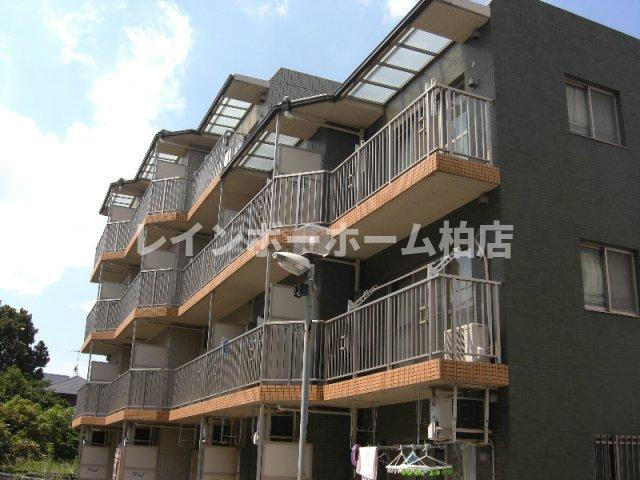 【仲介手数料：50％OFF】対象物件！の外観|外観です
